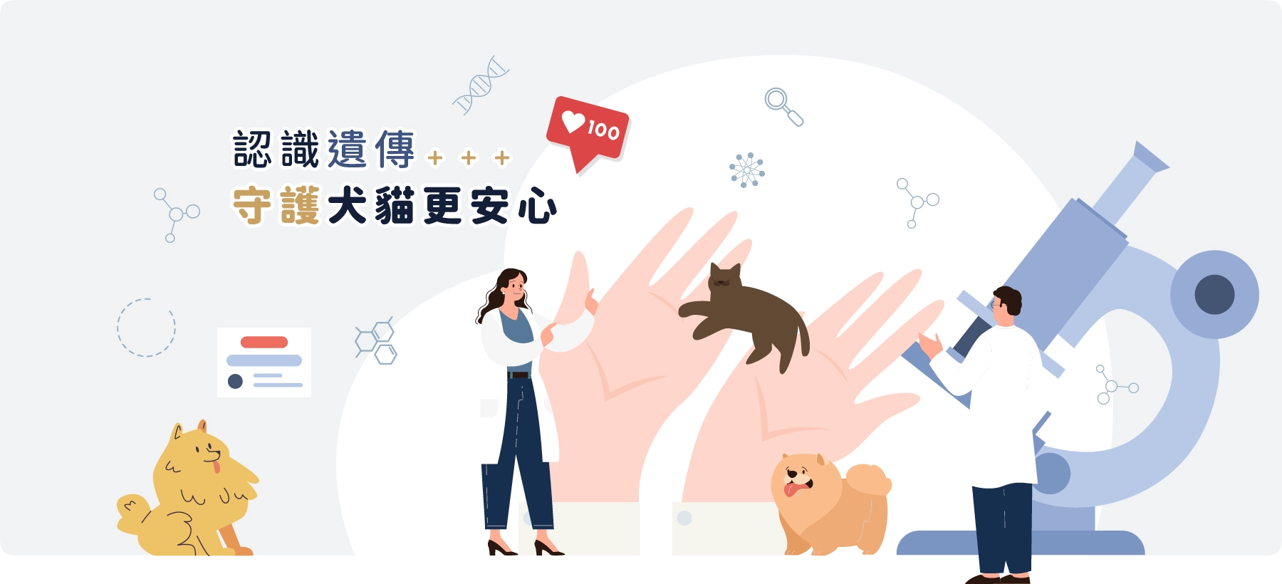 未命名-1.webp