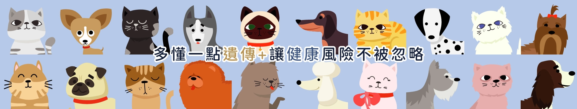 inbanner_r1_c1 _1_.webp